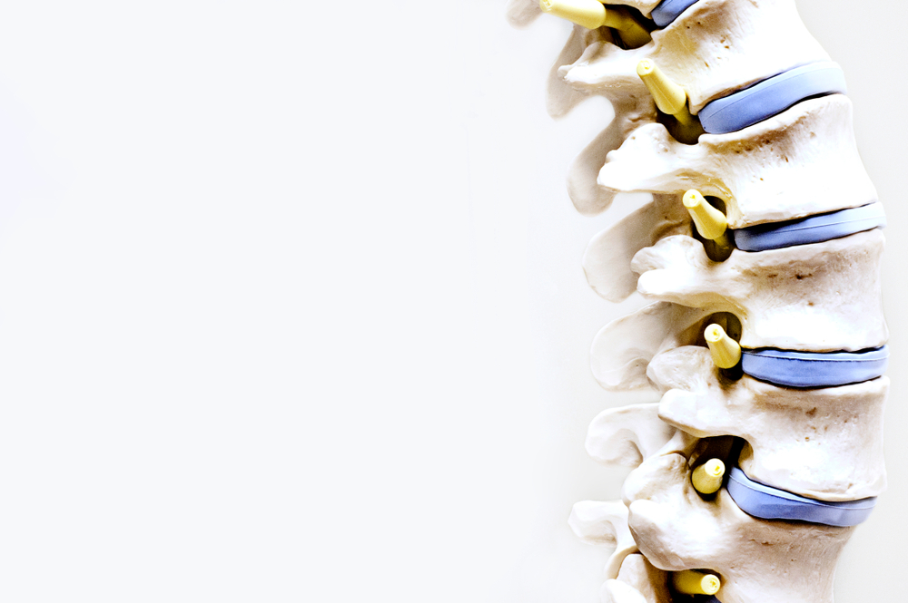 Why Chiropractic Adjustments Are Essential In Stanwood