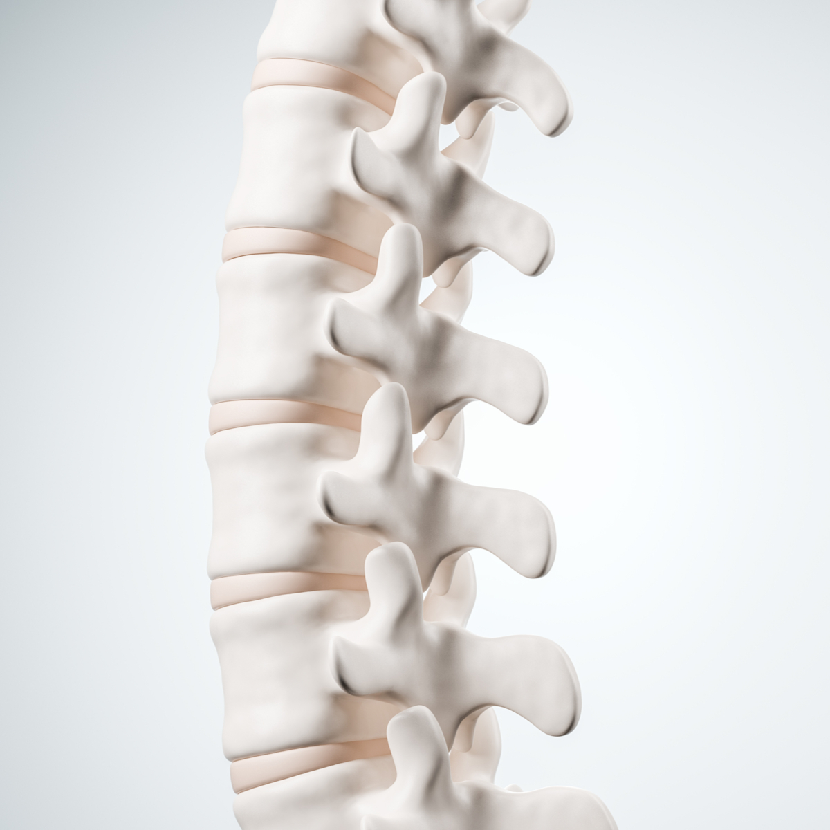 Johnstone Chiropractic Offers the Best Chiropractic Adjustments for Spine & Joint Alignment in Stanwood!