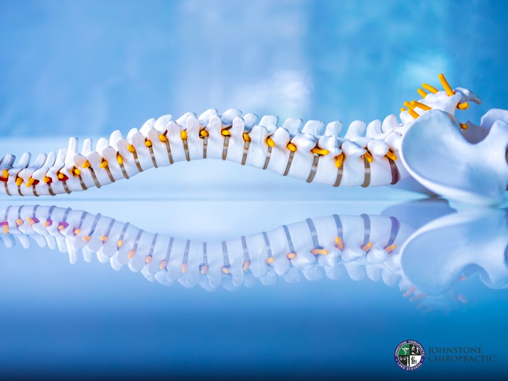 Johnstone Chiropractic: Let Us Align Your Spine for Relief from Back Pain!